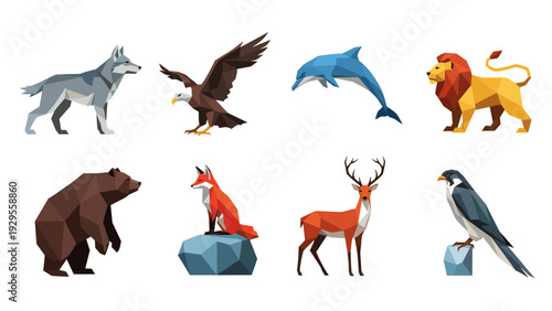 set of low poly wild animals collection with wolf eagle dolphin lion bear fox deer and falcon