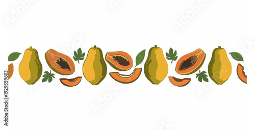 Hand drawn colorful papaya summer banner flat vector illustration