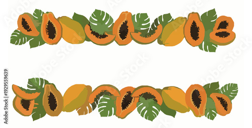 Hand drawn papaya whole and slice summer banner flat vector
