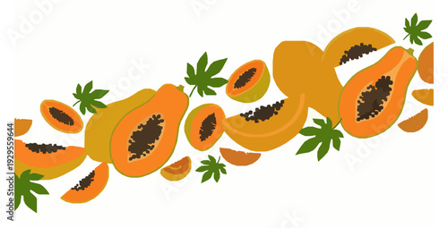 Colorful papaya slice and whole fruit diagonal summer banner vector