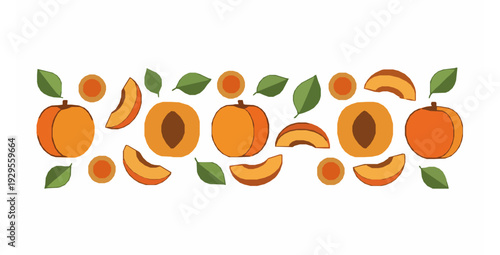 Decorative horizontal apricot whole and sliced flat vector collection