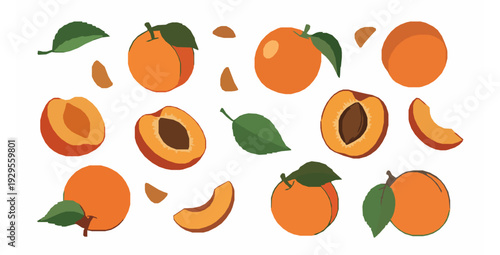 Fresh apricot whole slices flying and falling fruits flat vector set