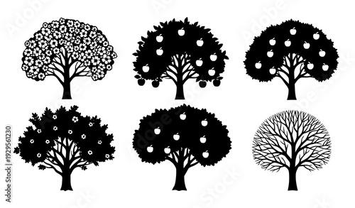 Apple tree seasonal silhouette collection black vector isolated on transparent background
