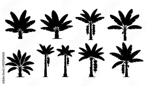 Minimal banana tree silhouettes black and white tropical vector isolated on transparent background