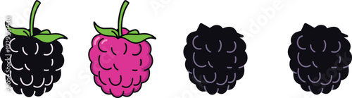 Blackberry and raspberry cartoon icon set, fresh berry fruit vector illustration isolated on white background, healthy food design