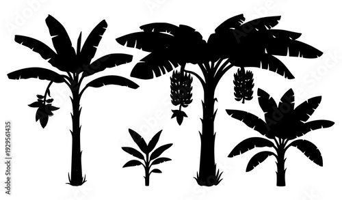 Banana tree fruit silhouette set tropical vector isolated on transparent background