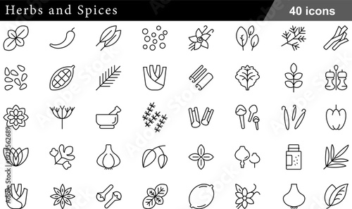 40 Herbs and Spices Icons Set Chili Pepper, Garlic, Basil, Star Anise and Mortar and Pestle Symbols in Professional Thin Line Style for Culinary and Natural Wellness