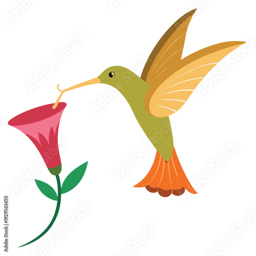 Stylized illustration of a vibrant hummingbird collecting nectar from a pink bellflower