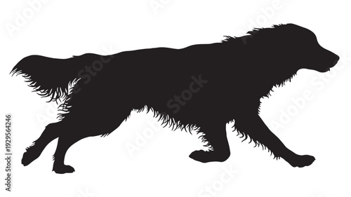 Dog silhouette walking side view with shaggy fur and long tail, black animal profile isolated on white background, simple minimalist clipart graphic featuring pet icon, canine, pet with mammal and