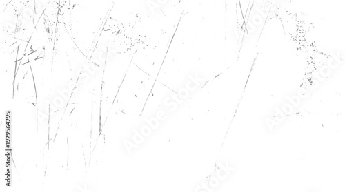 Gray Scratches and Speckles Texture on White Background
