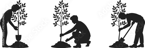 Black and white silhouette illustration of modern coworking office with people working on laptops, pendant lights, plants, teamwork, productivity, and collaborative workspace concept