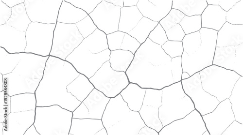 Cracked surface texture with irregular polygonal shapes and fine line details on a white background pattern
