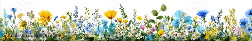 A border of vibrant wildflowers, featuring yellows, blues, and whites