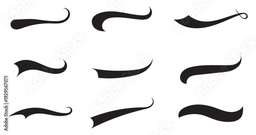 Swash and swoosh. Vector swash swoosh flourish design elements on transparent background