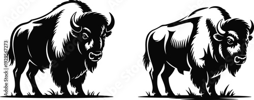 Stylized black and white illustrations of two American bison standing on grass, showcasing bold graphic detail, muscular build, shaggy mane, horns, and iconic wildlife symbolism