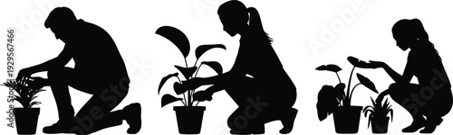 Silhouettes of people gardening and tending to potted plants on white background illustration