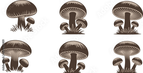 Stylized mushroom vector illustration set showing detailed fungi with caps and gills, earthy brown tones, botanical design elements, natural forest food graphics isolated on white background