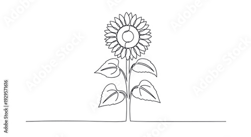 Minimalist illustration features a single line drawing of a sunflower with leaves on a white background, perfect for design projects seeking simplicity and modern aesthetic.