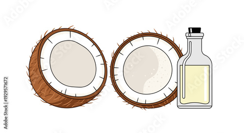 Two coconut halves sit next to a small, simple glass bottle of coconut oil on a transparent background. Minimal flat design.