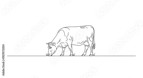 Black and white line art illustration of a cow grazing in a field, conveying a minimalist and clean aesthetic. Suitable for various design and illustration projects.