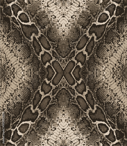 Animal skin pattern seamless.new modern animal pattern and snake pattern print, texture, African, slat, skin, style