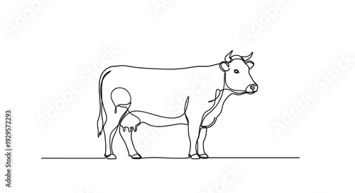 Minimalist single continuous line drawing of a cow on white background. Perfect for abstract illustration, dairy products, agriculture, farm themed designs and modern art projects.
