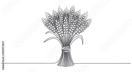 A minimalist, modern illustration of a wheat sheaf rendered in a single, unbroken black line against a white background, perfect for representing agriculture, harvest, or natural themes.
