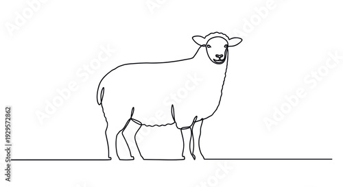 A minimal and modern illustration of a sheep, depicted as a single, continuous line drawing against a white backdrop, showcasing a simple yet elegant design.