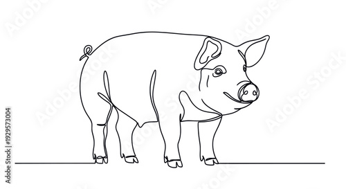 A minimalist illustration of a pig standing, created with a single continuous black line on a clean white background, perfect for designs needing a simple, elegant animal depiction.