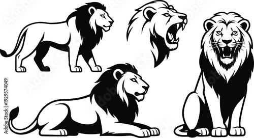 Set of 3 lion icons vector