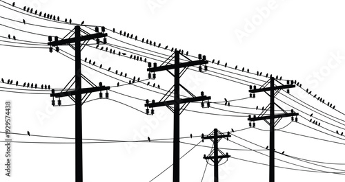Black and white silhouette illustration of utility poles with birds perched on power lines, symbolizing urban nature, perspective, and harmony between wildlife and infrastructure