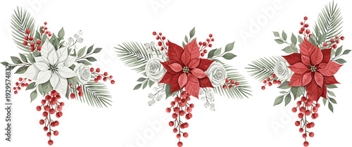 Christmas floral arrangement set with red and white poinsettia flowers winter berries and pine needles isolated on white background for holiday season celebration design