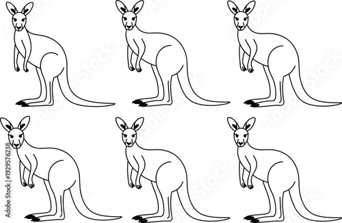 Vector Line Art Illustration Set of Australian Kangaroos in Standing Poses for Wildlife Education, Nature Conservation, Australia Day Graphics, and Animal Themed Design Projects.
