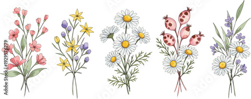 Set of spring wildflower bouquet illustrations including daisies pink blossoms and lavender isolated on white background for garden nature floral and wedding design projects