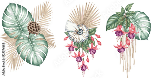Tropical vector set with monstera leaves palm fronds lotus pods dried nautilus shell and hanging pink fuchsia flowers for botanical wedding invitations and summer decor