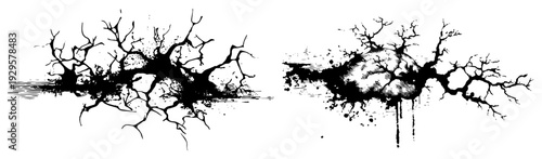 Collection of two grunge style ink splatter tree root illustrations in black and white