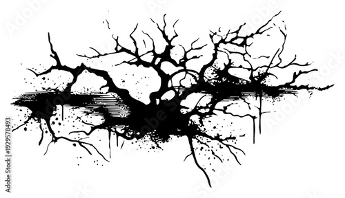Stylized black ink splash of gnarled tree roots and branches on white background