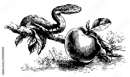 Biblical scene engraving of a serpent on a branch next to a forbidden apple