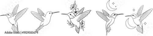 hummingbird tattoo images with floral silhouette vector