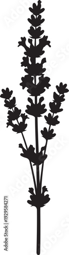 Black silhouette of a lavender plant with multiple flower spikes black and white floral