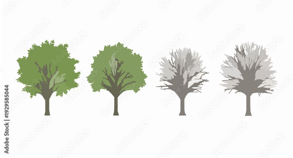 Fototapeta premium Four tree silhouettes vector illustration showing leafy and leafless growth stages isolated on white background