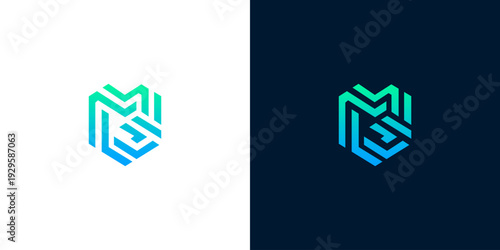 Abstract geometric logo concept, highlighting interconnected lines and a vibrant blue-green gradient, perfect for modern branding in technology, security, or innovative digital services