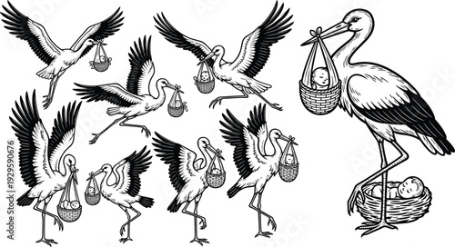 Stork delivering baby illustration set, vintage black and white vector collection of flying and standing storks with newborn bundle