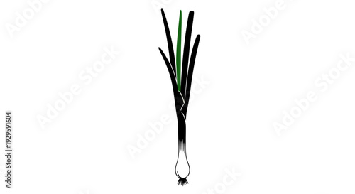 Bunch of fresh green and black chives on white background herbs for cooking and garnish