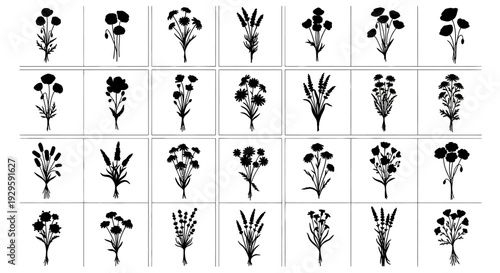Collection of various black flower silhouettes on white background for design and decoration purposes