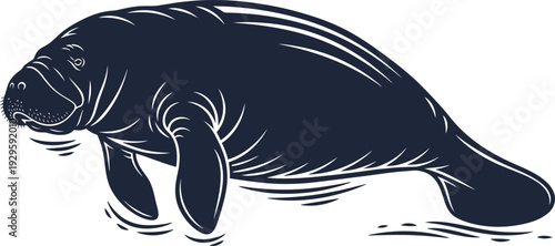 A black and white illustration of a manatee swimming in the water