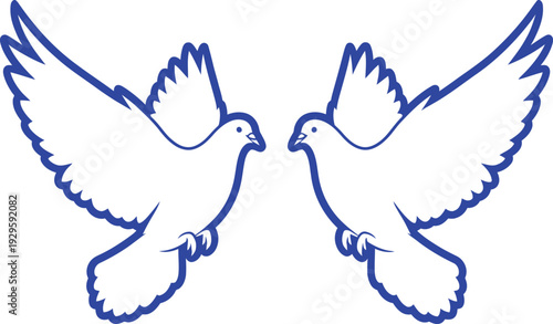 Two white doves in flight facing each other