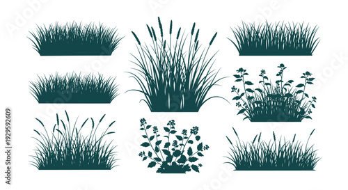 Dynamic Sports Game Activity Icons Vector Collection Set Recreational Fitness Equipment Symbols