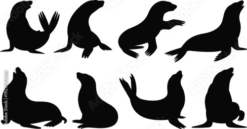 Black Sea Lion and Seal Silhouette Collection Featuring Various Marine Animal Poses for Ocean Wildlife and Nature Design Projects.