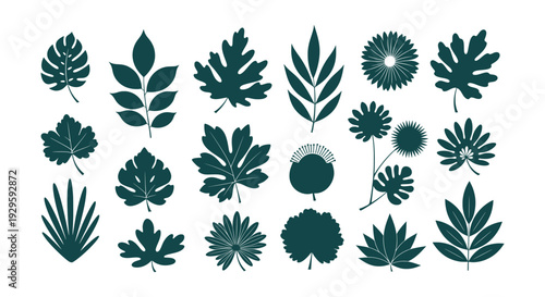 Elegant Blue Swashes Flourishes Vector Set Calligraphic Dividers Ornament Design Elements